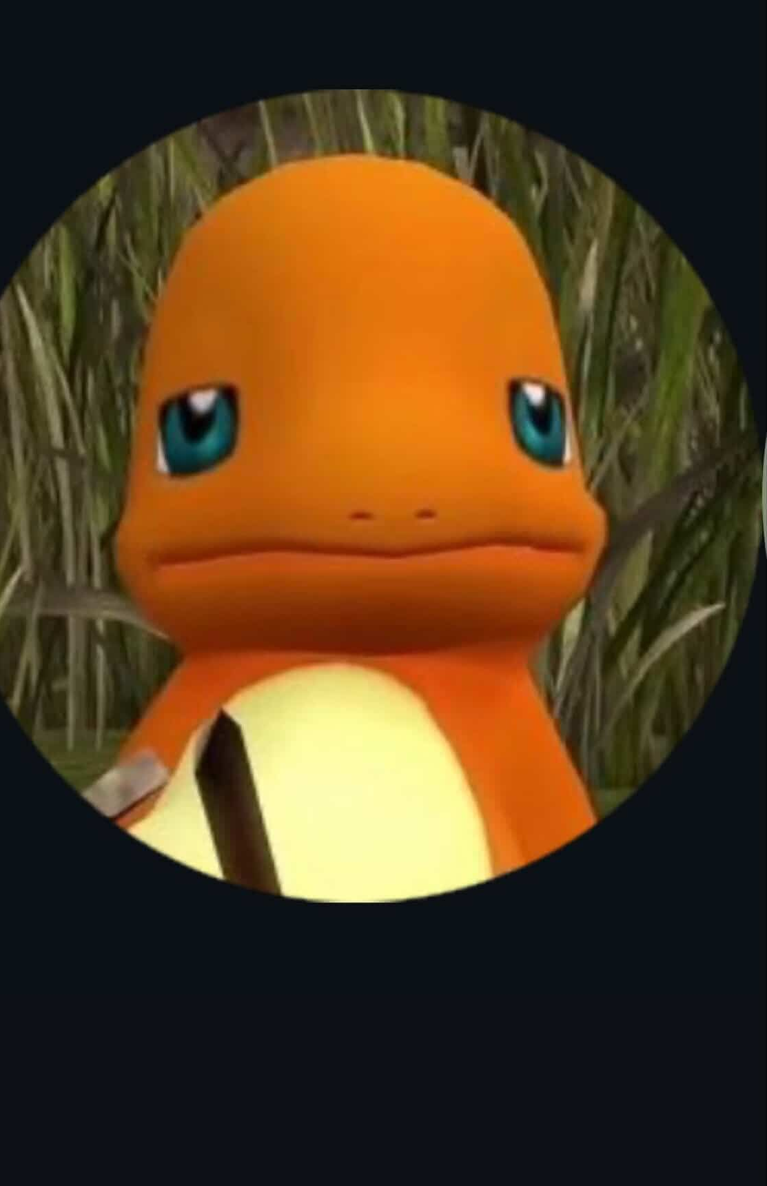 SOLTAN player portrait